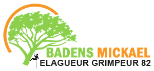 elagage-badens-mickael